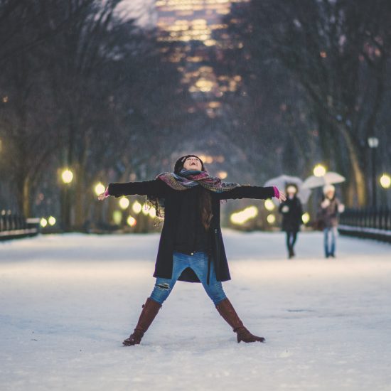 Central Park Nevado